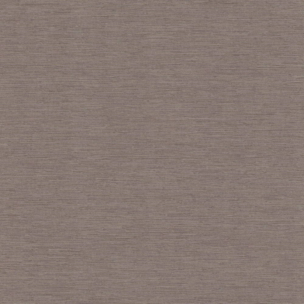 eko50 — Atmosphere swatch