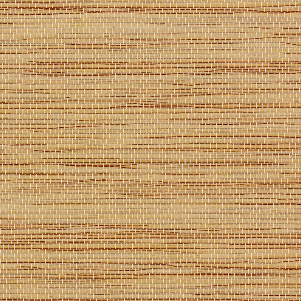 pap3 swatch