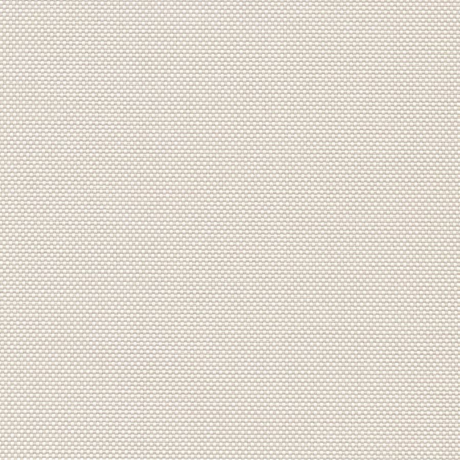 White / Bone