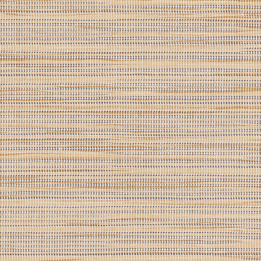 Bali — Biscotti