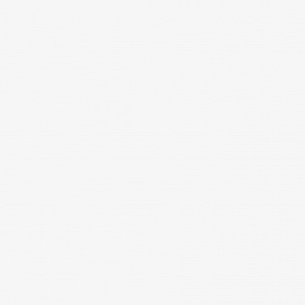 Basic — White swatch