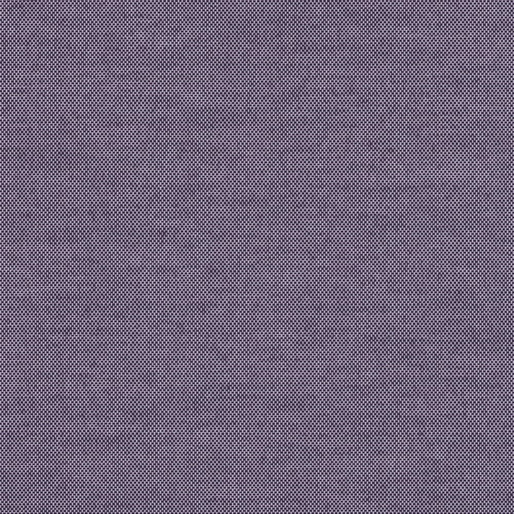 Darwin — Aubergine