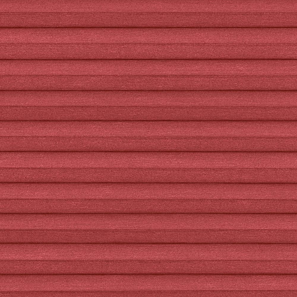 hc45 Blackout — Coral