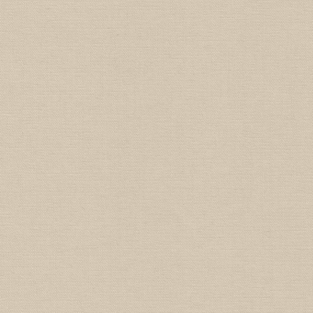 Munich Blackout — Bleached Sand