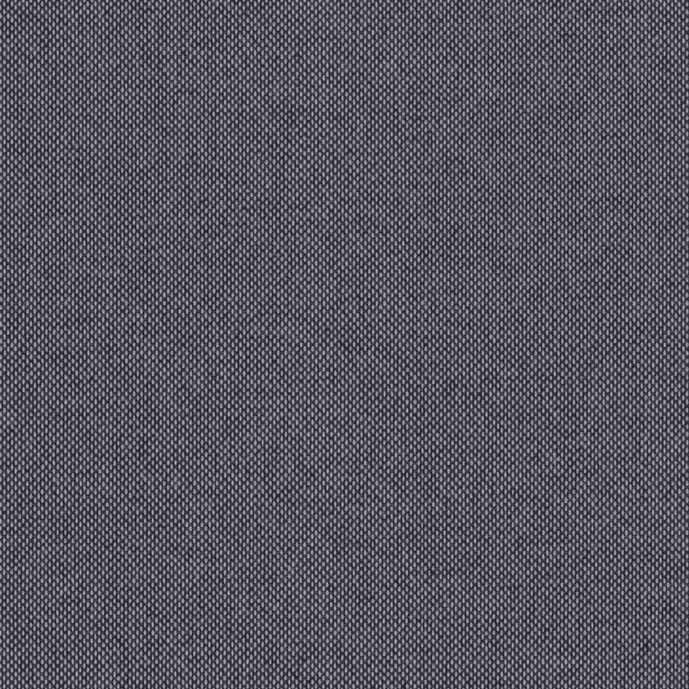 Wembley Blackout — Bark